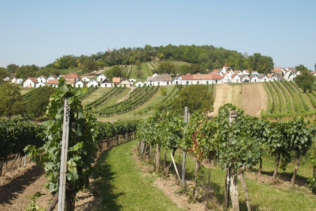 Gaestehaus Weinviertel - Niederoesterreich Siebenhirten Exterior foto
